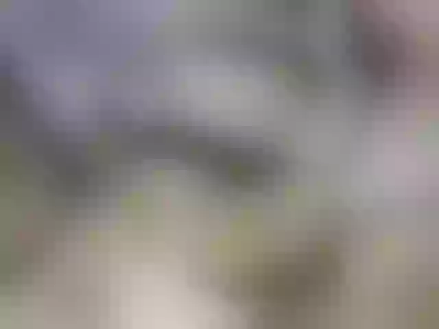 Live sex webcam photo for sofiarm #276211857