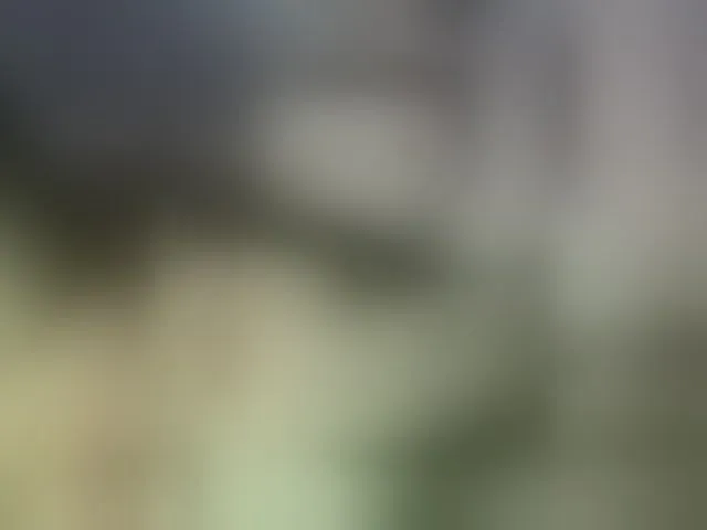 Live sex webcam photo for sofiarm #276276868