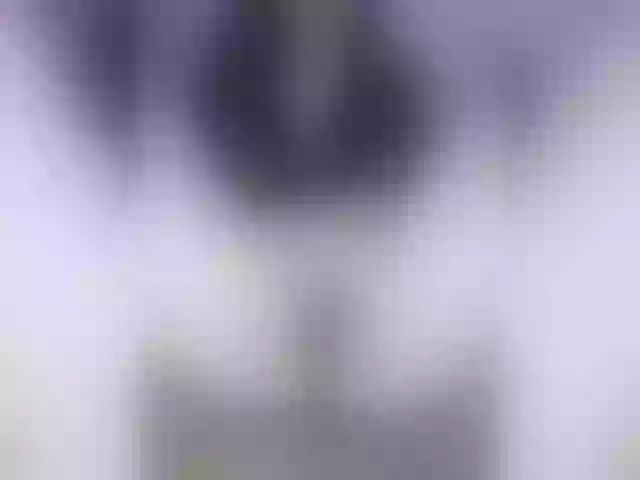 Live sex webcam photo for sofiarm #277541877