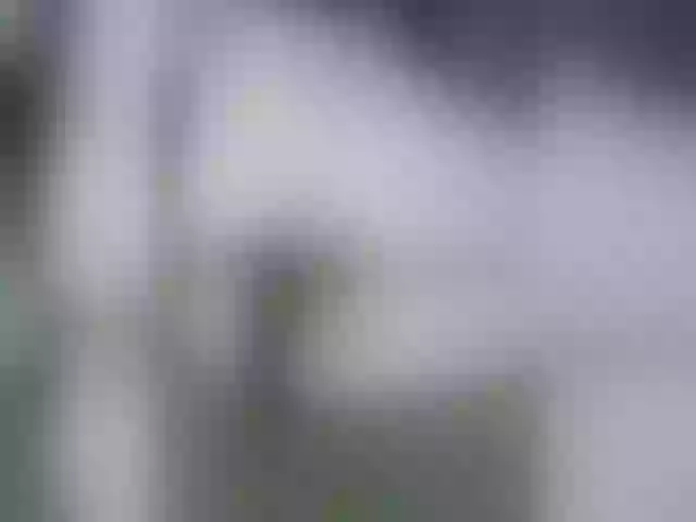 Live sex webcam photo for sofiarm #277600563
