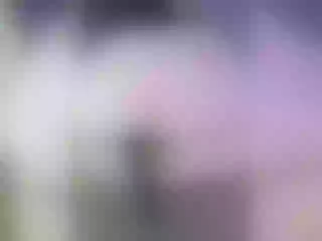 Live sex webcam photo for sofiarm #277619339