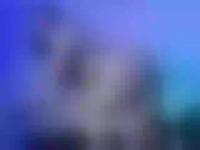 Live sex webcam photo for SofiiaMartinez #292048998