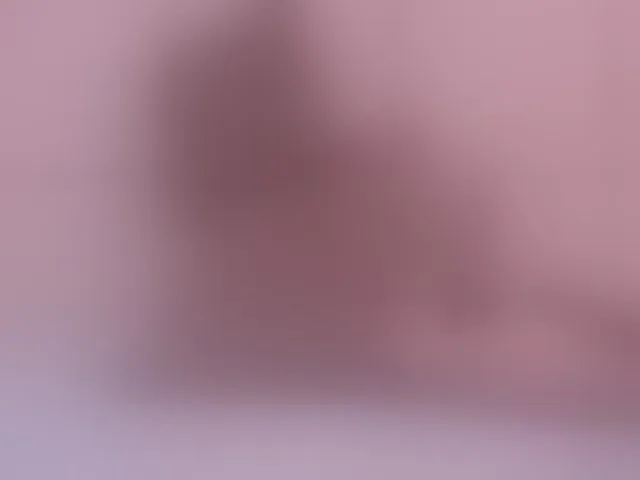 Live sex webcam photo for Sofiiia1 #292752374