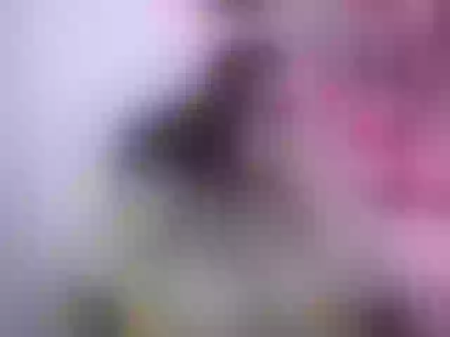 Live sex webcam photo for Sofilulu #273316336