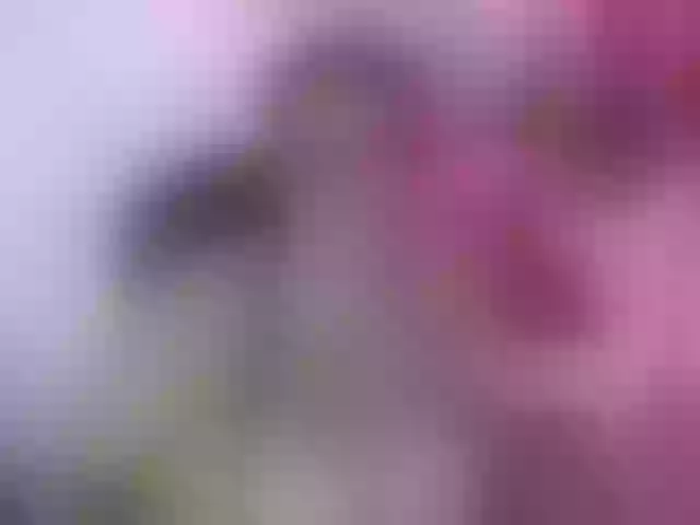 Live sex webcam photo for Sofilulu #273649727