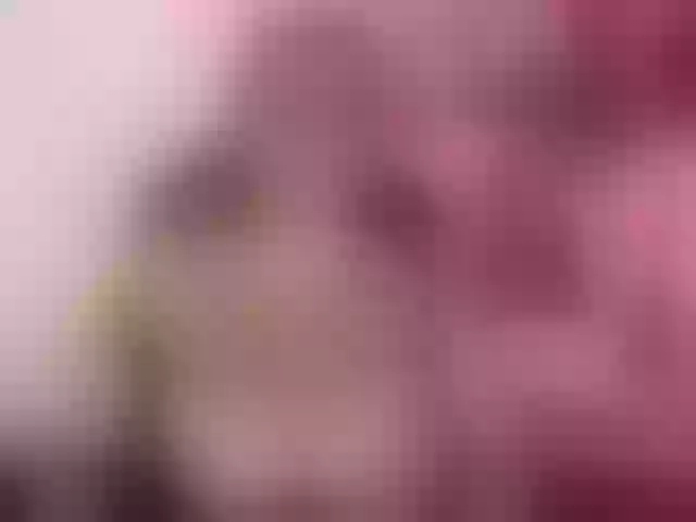 Live sex webcam photo for Sofilulu #274325073