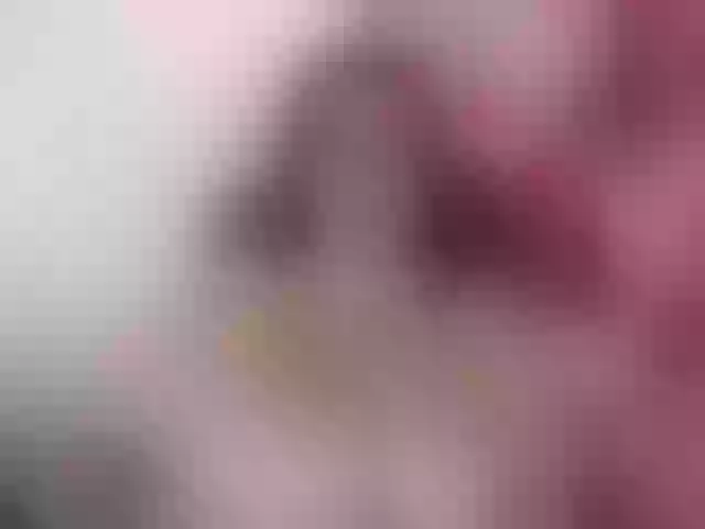 Live sex webcam photo for Sofilulu #274452283
