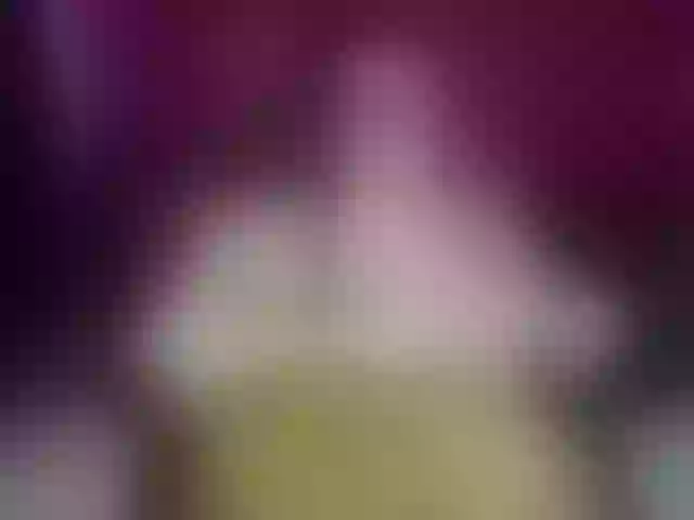 Live sex webcam photo for Sofilulu #276147751