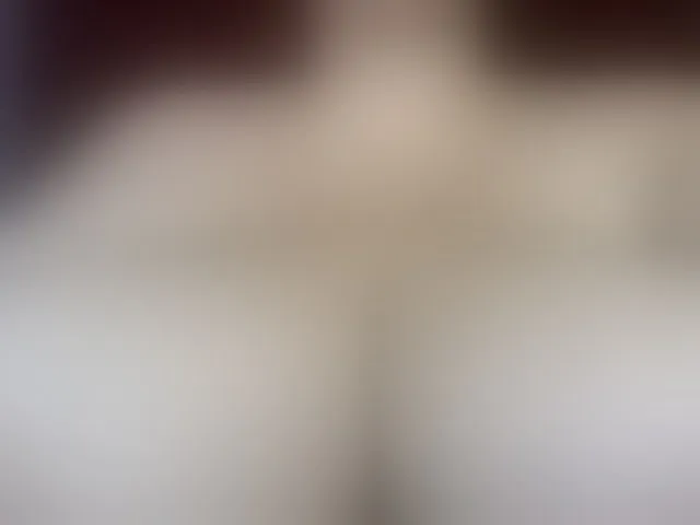 Live sex webcam photo for Sofilulu #293719290