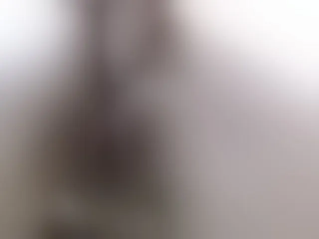Live sex webcam photo for Sofirouze #272099177