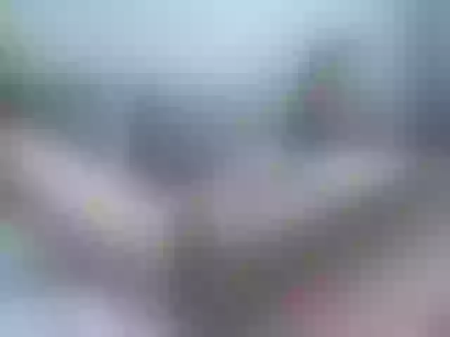 Live sex webcam photo for Sofiyaa000 #278275042