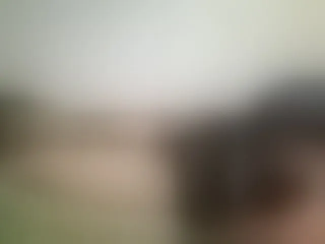 Live sex webcam photo for Sonic007hh #277206368