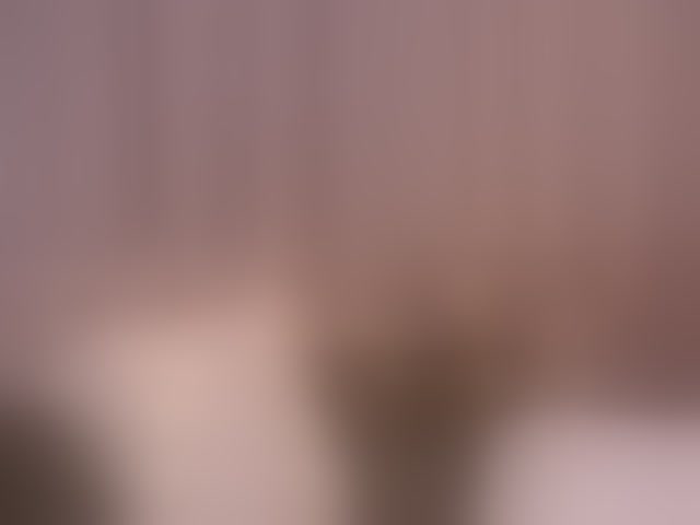 Live sex webcam photo for SonnyKage #293946488