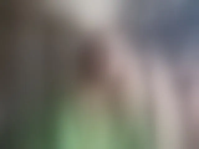 Live sex webcam photo for Sonya48 #293420740