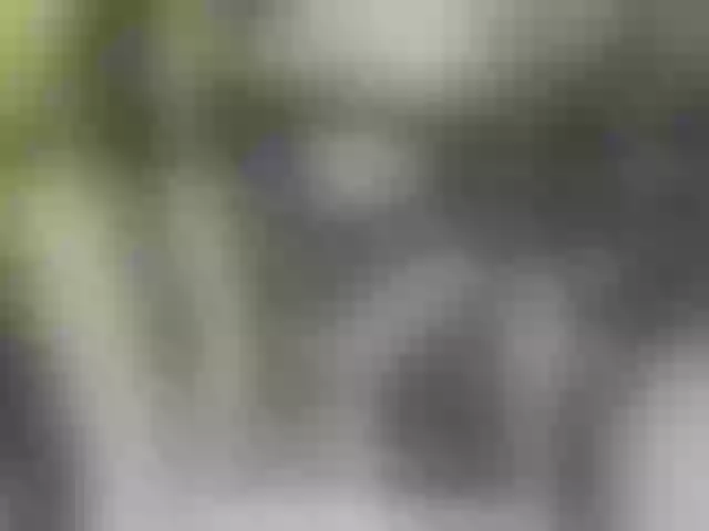 Live sex webcam photo for Sonya699 #272039159