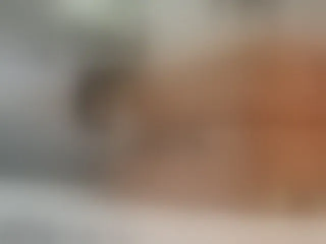 Live sex webcam photo for SonyaParadise #293595151