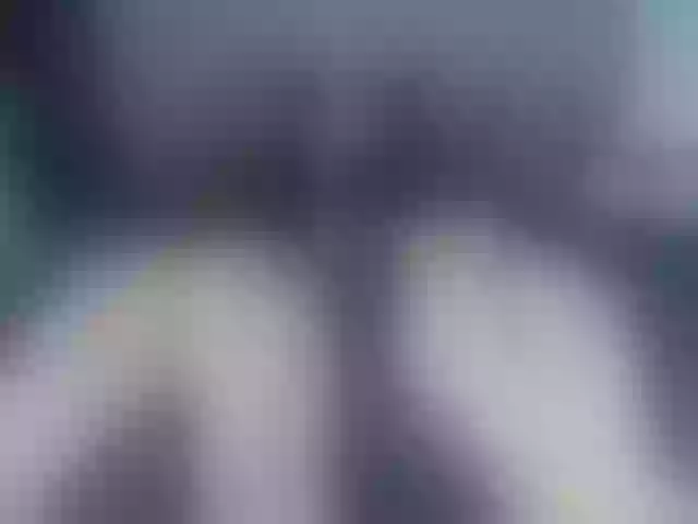 Live sex webcam photo for SophieAnWhite #288465916