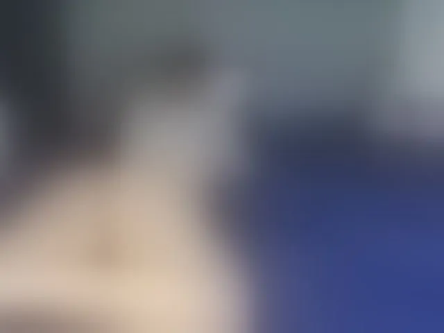 Live sex webcam photo for SophieAnWhite #289835109