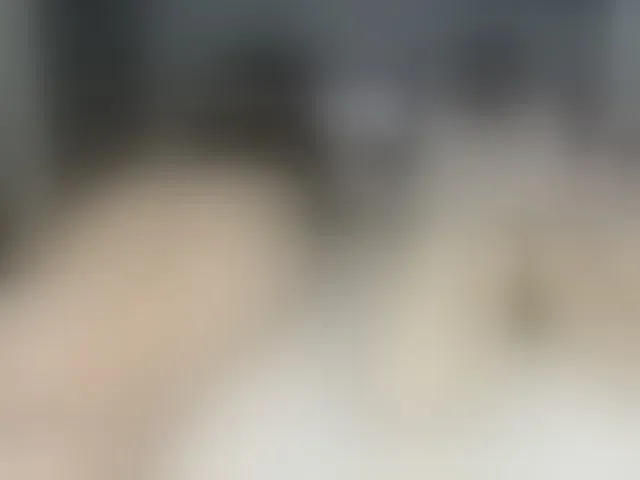 Live sex webcam photo for SophieAnWhite #290744519