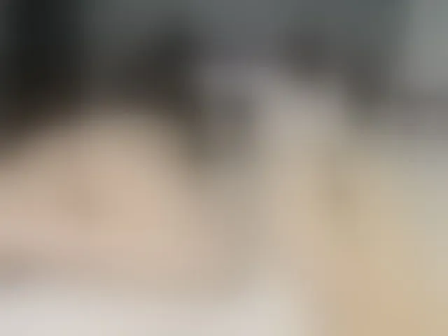 Live sex webcam photo for SophieAnWhite #290750883