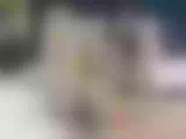 Live sex webcam photo for SophieCarther #278057587
