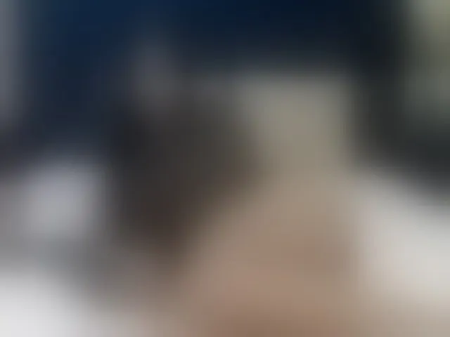 Live sex webcam photo for SophieCarther #278160913