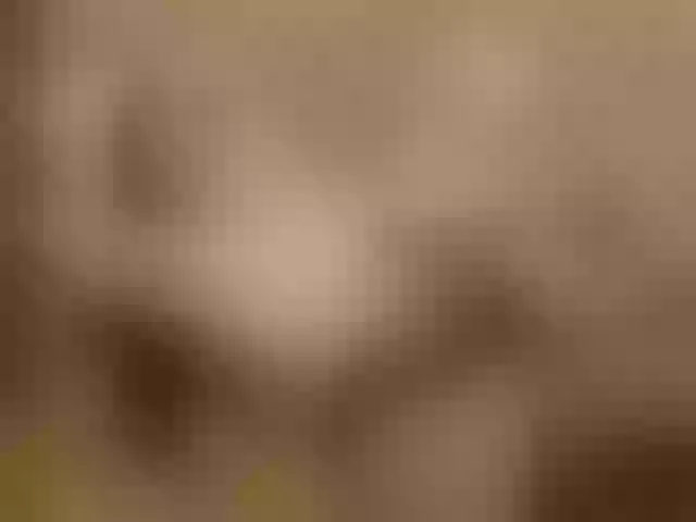 Live sex webcam photo for SophieCarther #278225026
