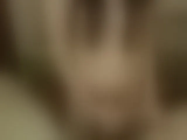 Live sex webcam photo for SophieFantasy #293805217