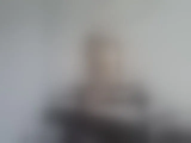 Live sex webcam photo for SophieMary #293563018