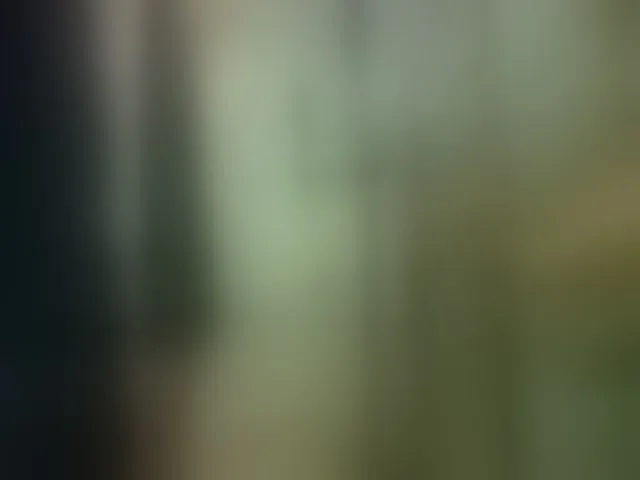 Live sex webcam photo for SophieMary #294232749