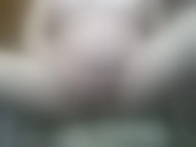 Live sex webcam photo for SophieNightAh #291119596