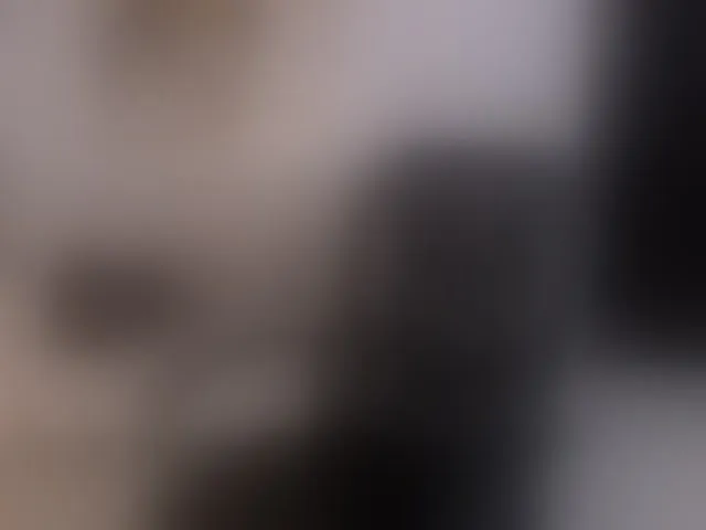 Live sex webcam photo for SophiePalmer #294310443