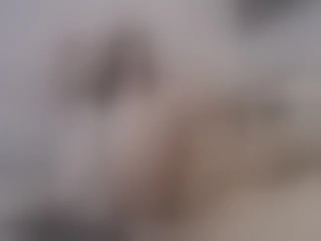 Live sex webcam photo for SophieeRain #292562923