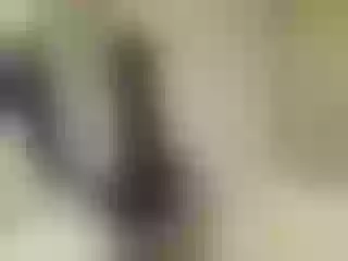 Live sex webcam photo for Sophielight #141161344