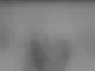 Live sex webcam photo for Sophielight #187740343