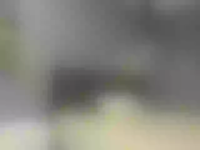 Live sex webcam photo for Sophiietaylor #291856176