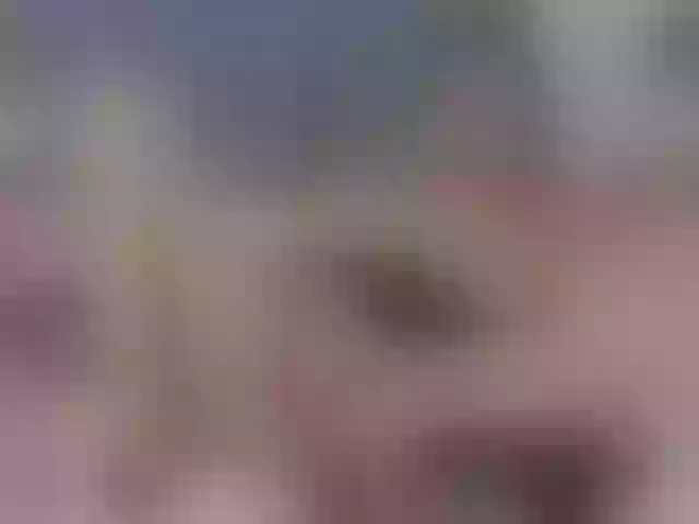Live sex webcam photo for Soraya-Sapeca #291876320