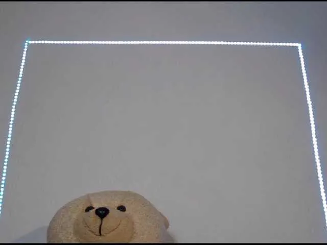 Live sex webcam photo for Soybonnysquir #274247542