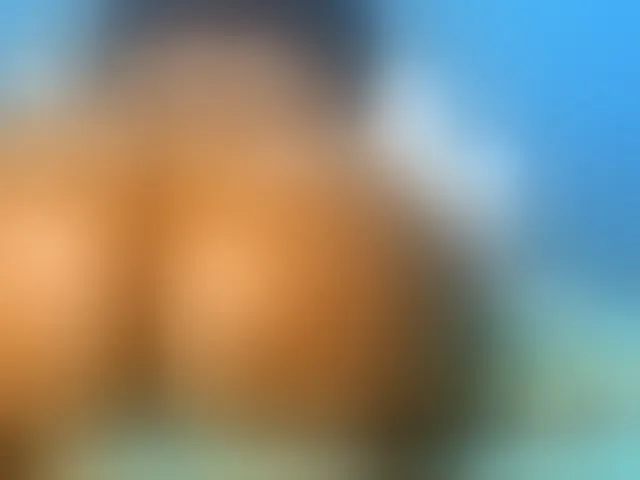 Live sex webcam photo for Spencer00 #290931266