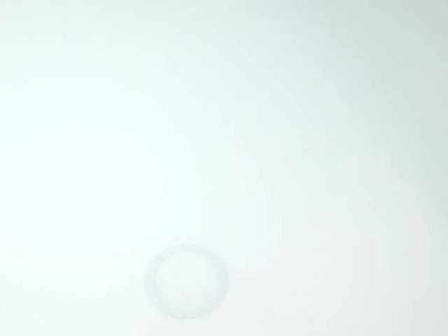 Live sex webcam photo for Spicy-shanty #291764256