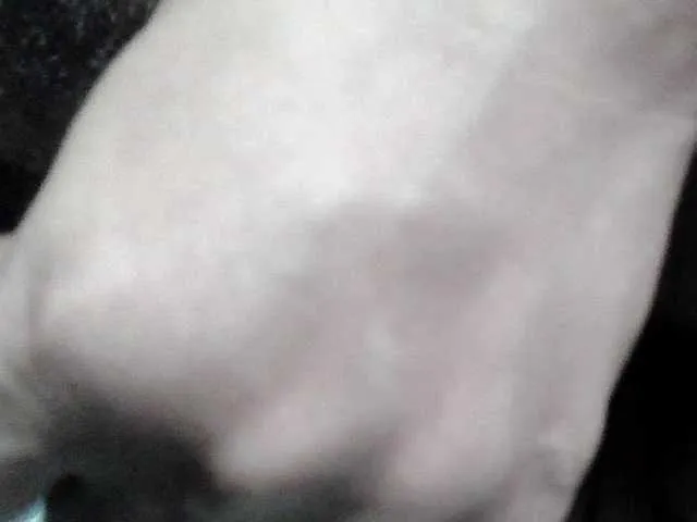 Live sex webcam photo for SpicyClaudyTS #290301579