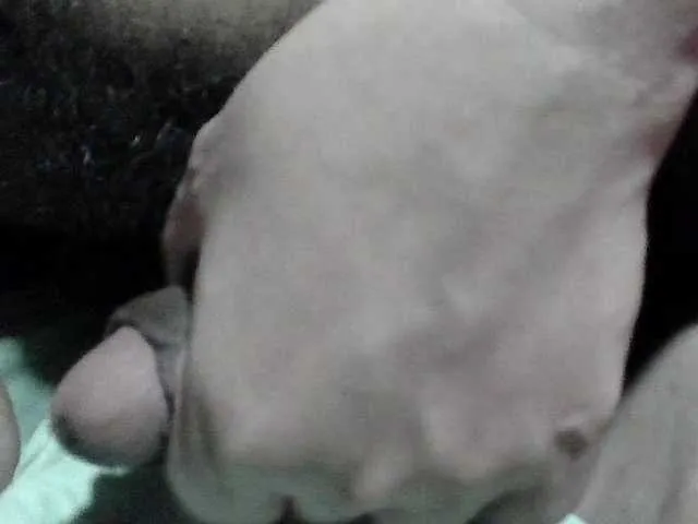 Live sex webcam photo for SpicyClaudyTS #290315390