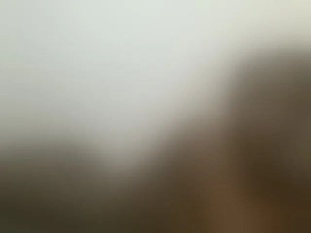 Live sex webcam photo for Squirtinglady #293416822