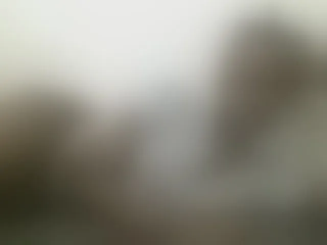 Live sex webcam photo for Squirtinglady #293433671