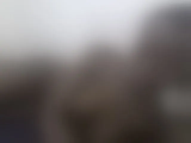 Live sex webcam photo for Squirtinglady #293531100