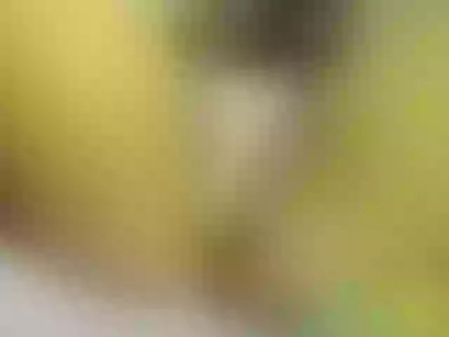 Live sex webcam photo for Squirtvic13 #274601204