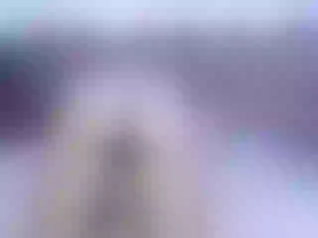 Live sex webcam photo for Staccy-21 #273517534