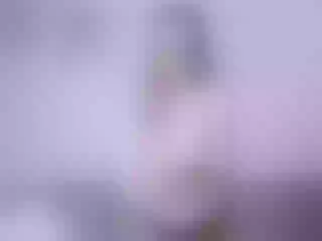 Live sex webcam photo for Stacey-Kiss #290577495