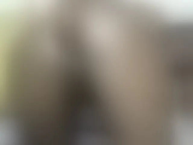 Live sex webcam photo for Stacylane #291559021