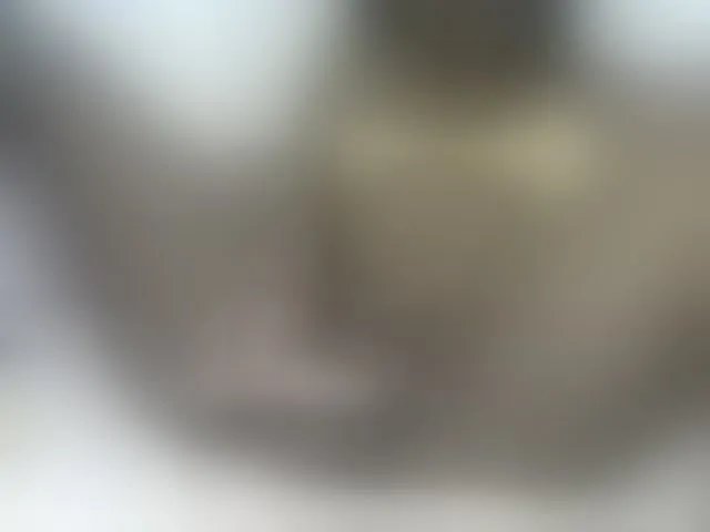 Live sex webcam photo for Stacylane #292001237